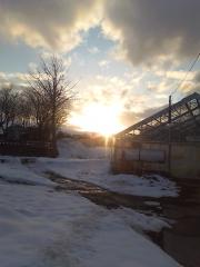 moblog_421931f4.jpg