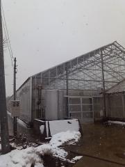 moblog_881f1654.jpg
