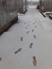 moblog_8cce508e.jpg