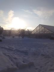 moblog_a77152bb.jpg