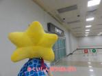 DSC002931.jpg