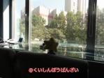 DSC003111.jpg