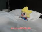 DSC003131.jpg