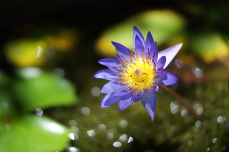 DSC05120_R.jpg