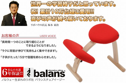 わたし収集所 猫背防止のバランスチェア