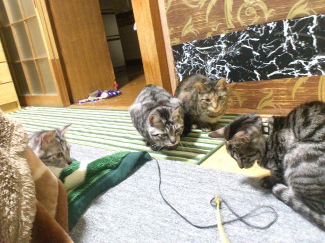 mini_140101_1954.jpg