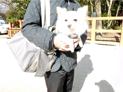 130317-01.jpg