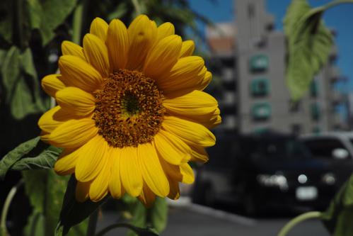 Photo-200.2
