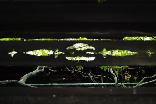 Photo-213.2