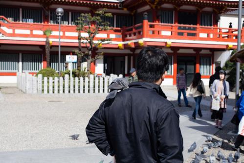 Photo-284.3