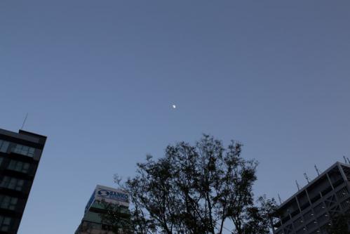 Photo-328.4