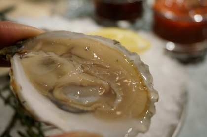DSC04676.jpg
