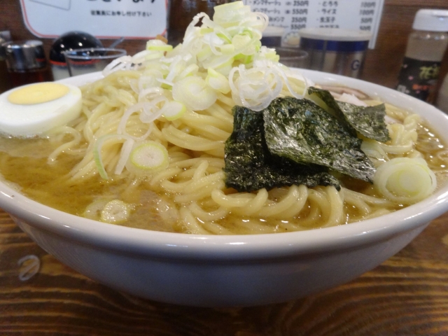 DSC01134.jpg