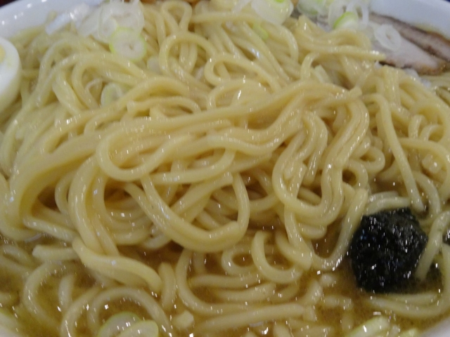 DSC01137.jpg