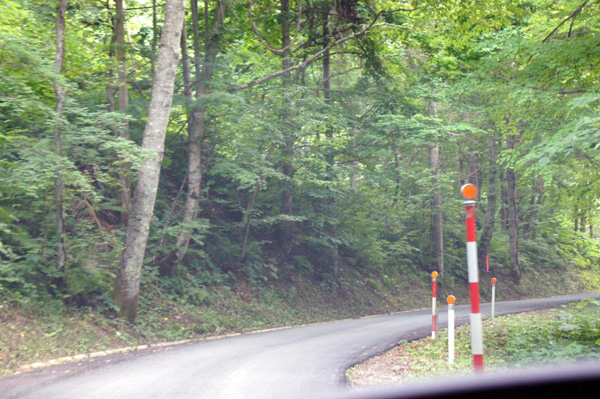 DSC04313.jpg
