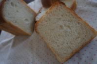 DSC05013.jpg