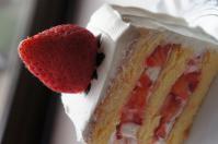 DSC05016.jpg
