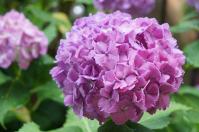 DSC05294.jpg