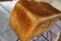 DSC05982.jpg
