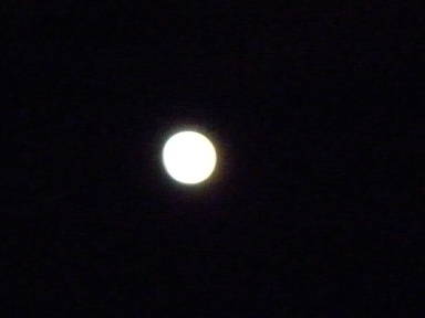 PB270664.jpg