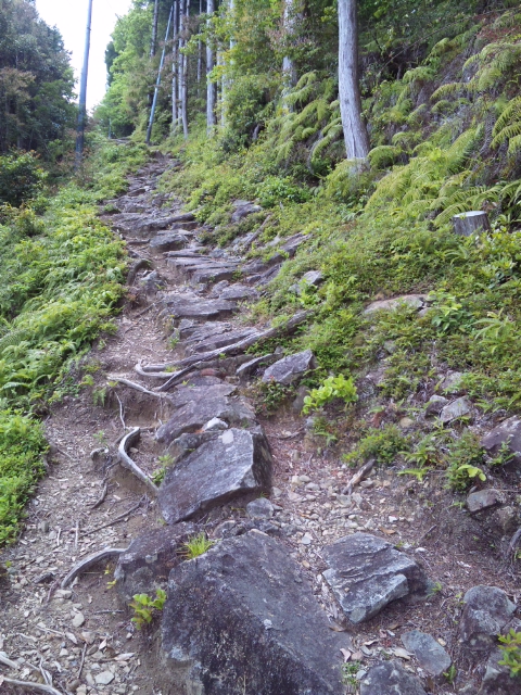 moblog_df4083e2.jpg
