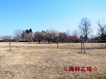 15442.jpg