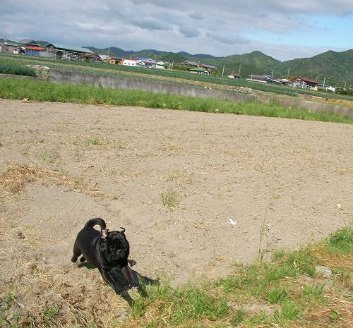 0510たからでる
