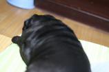 張り込み922