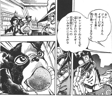 ジョジョ イギー