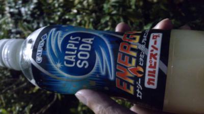 mini_551_calpis_DSC_0012.jpg