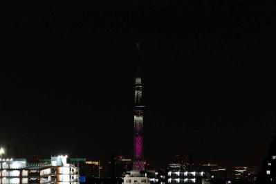 mini_skynight_IMG_7623-resize.jpg