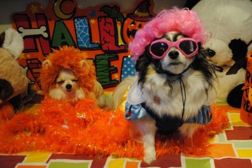002_201410241404447c0.jpg
