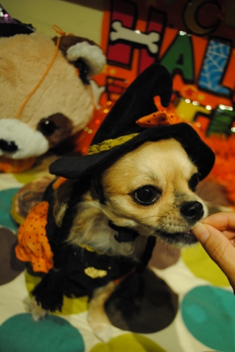 005_20141121115724175.jpg