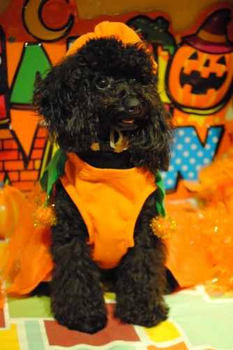 007_20141114191646ed2.jpg