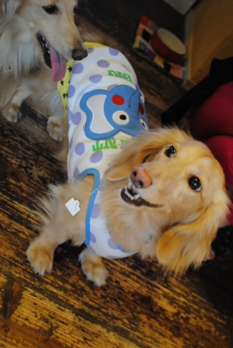 013_201411151134412b7.jpg