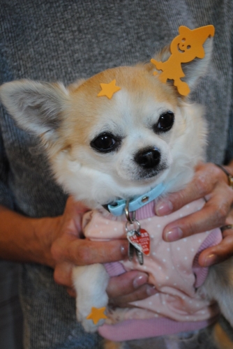015_201410311755165f2.jpg