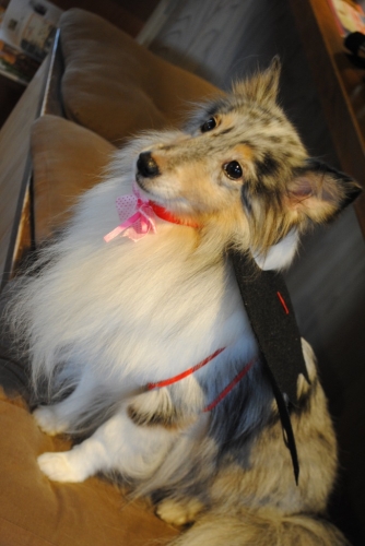 020_20141102105122ac2.jpg