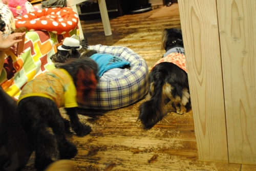 024_20141027224641bd9.jpg