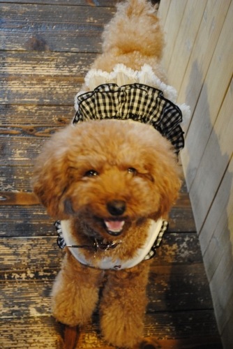 027_20141104190947caf.jpg