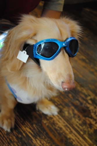 036_201411151142245ac.jpg