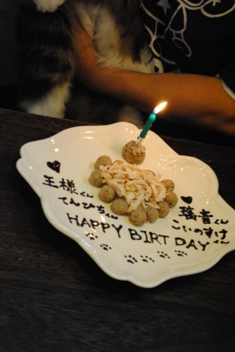 040_20141114225329dc6.jpg