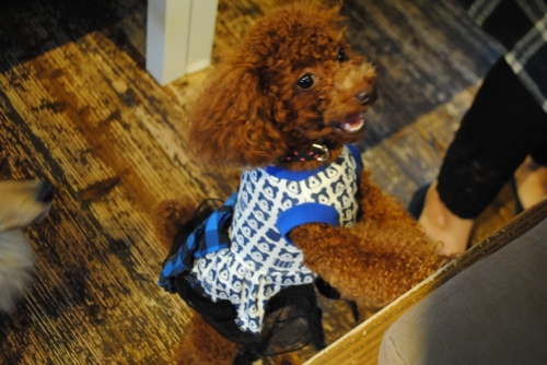 041_20141104200242ed7.jpg