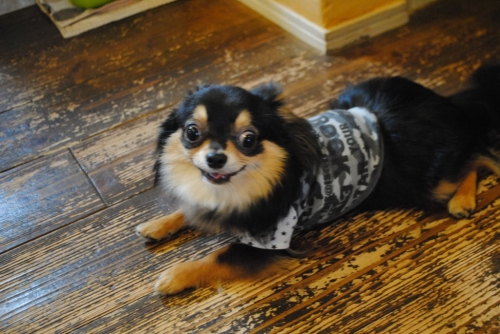 042_20141104200243eec.jpg