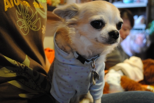 045_20141121120607eed.jpg