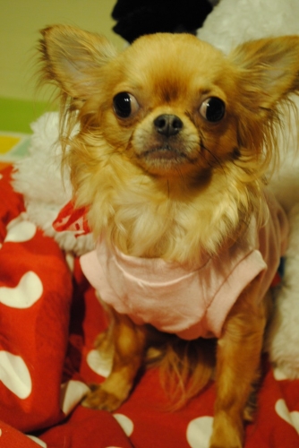 047_201410272255226d2.jpg