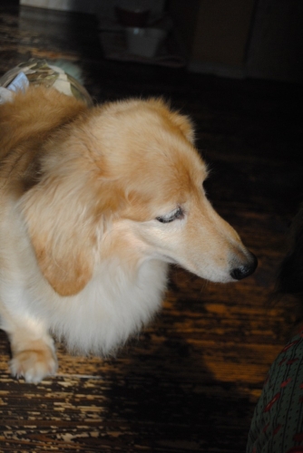 050_20141024194733959.jpg