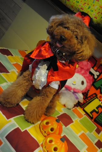085_20141115114936edb.jpg