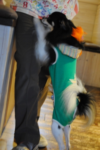 112_201411151157323e6.jpg
