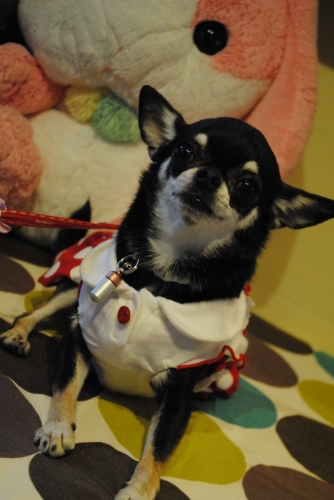 119_20141024200815adc.jpg