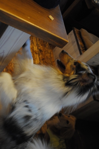 128_2014102420113994e.jpg